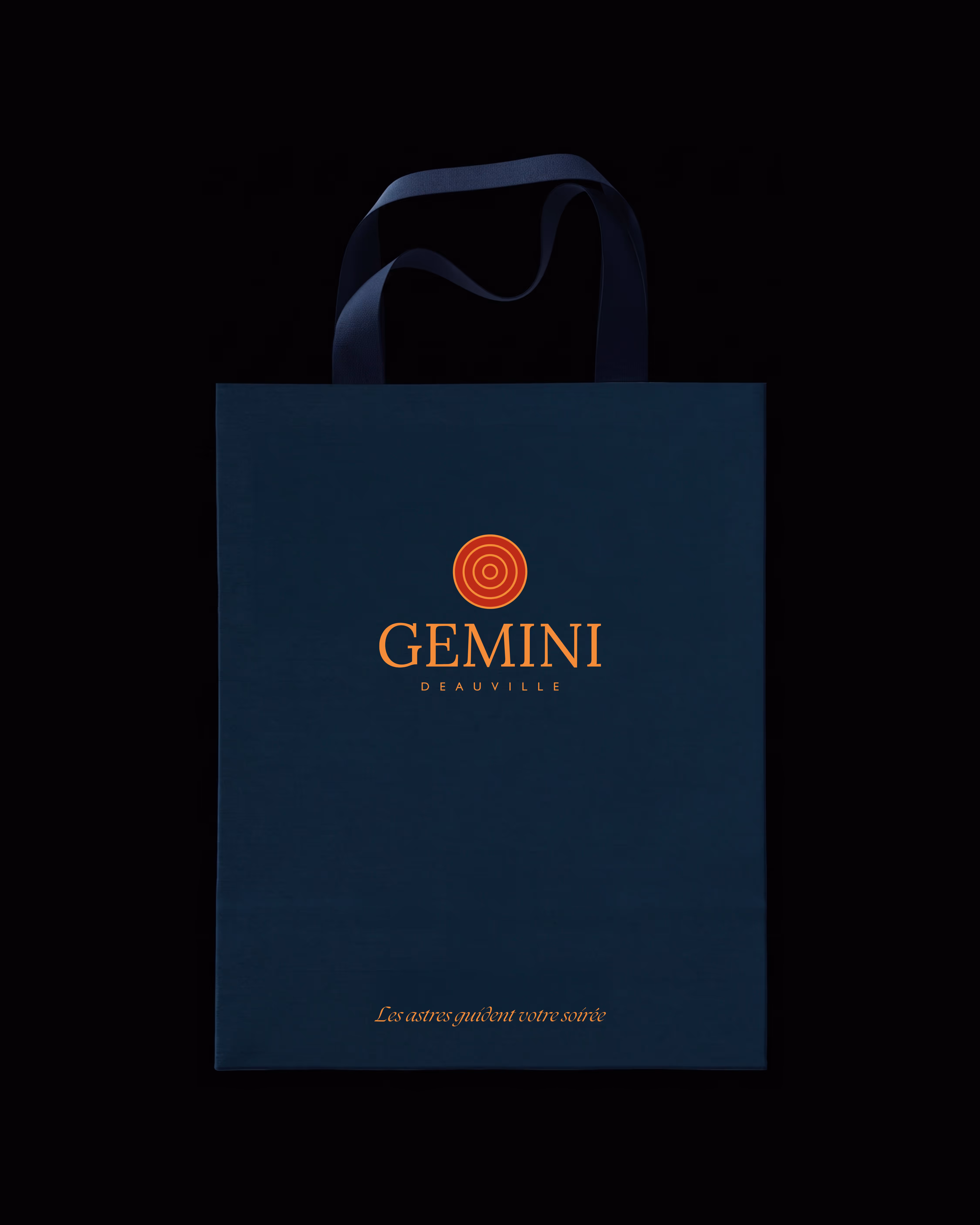 Gemini bloc 11